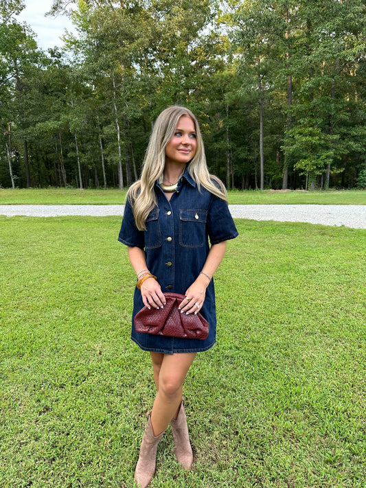 Sloane Dark Denim Mini Dress