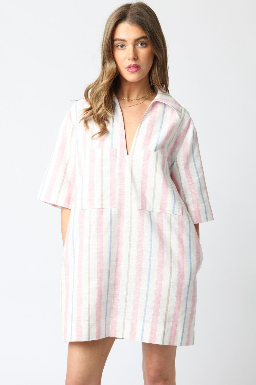 Jules Stripe Dress- Pink/Blue