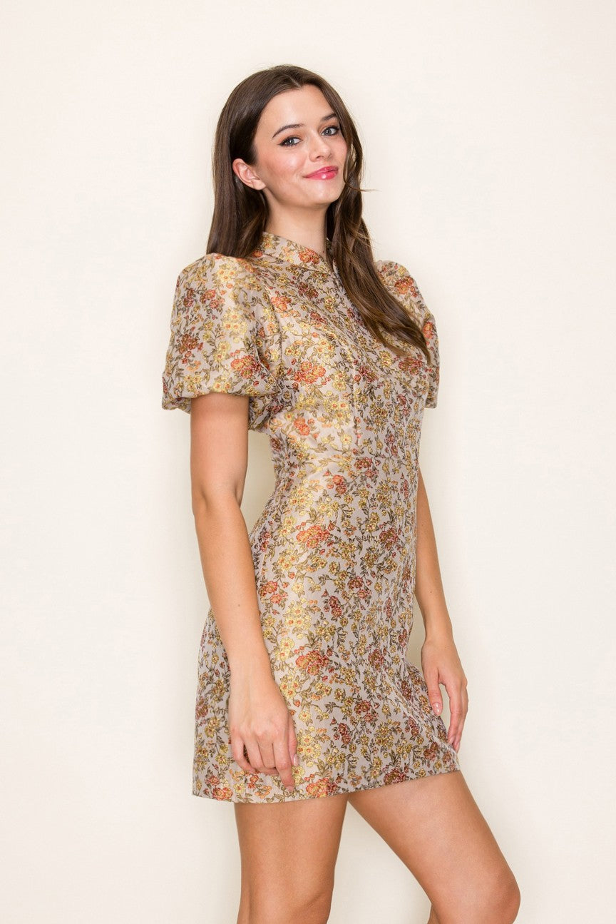 Zosia Mini Dress- Taupe/Rust