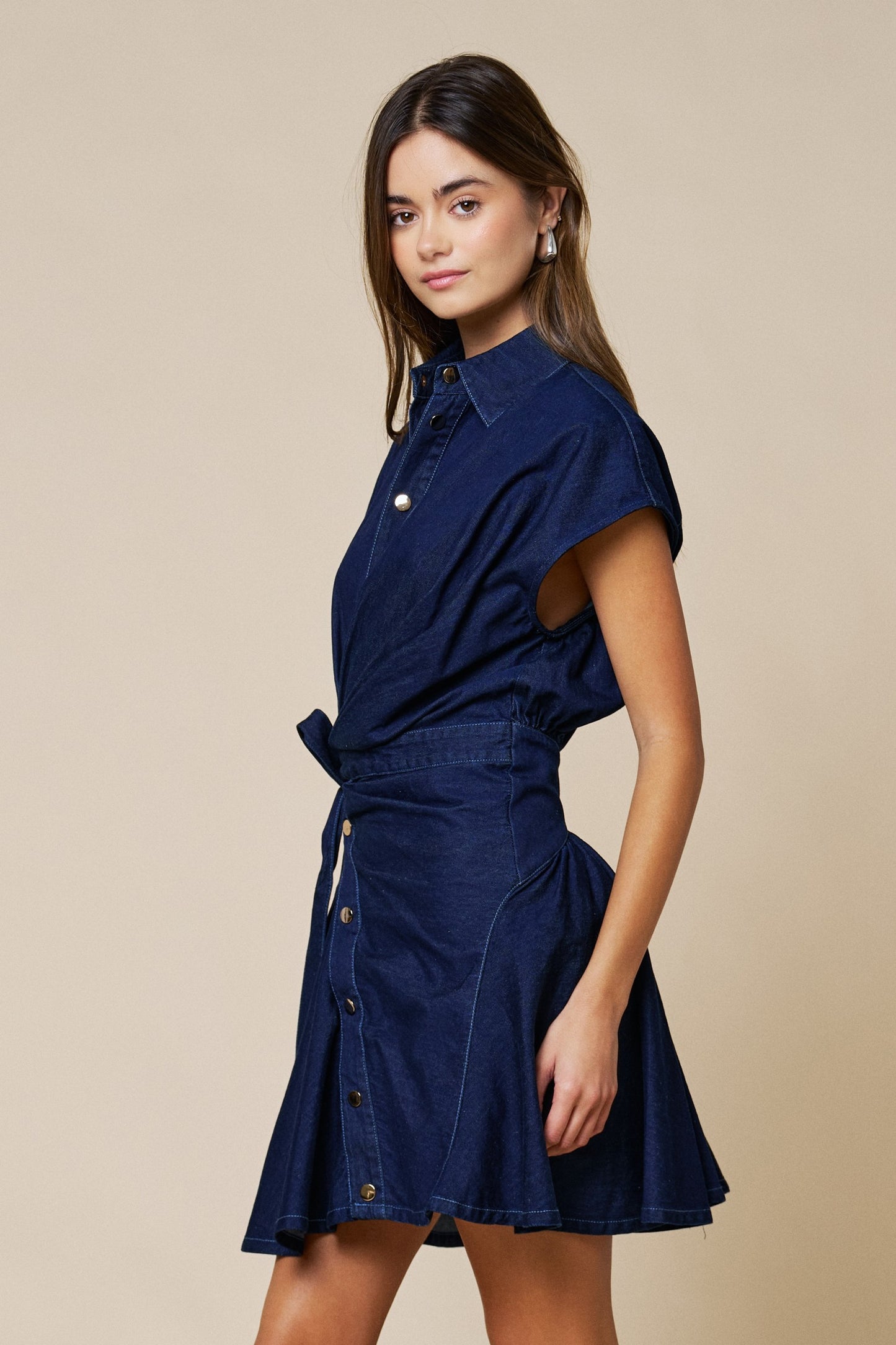 Eloise Denim Dress