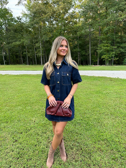 Sloane Dark Denim Mini Dress