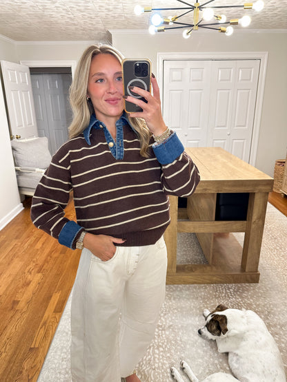Sofia Stripe Collared Sweater- Brown