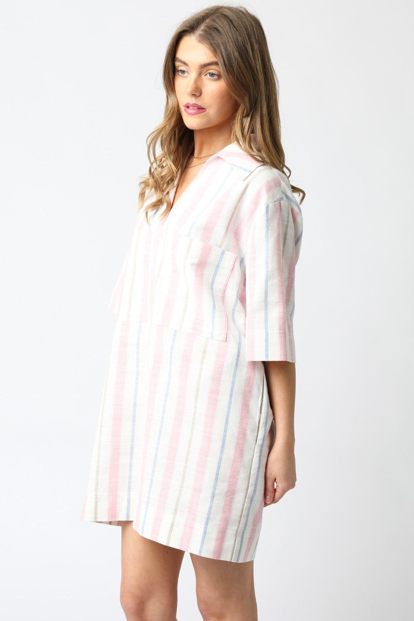 Jules Stripe Dress- Pink/Blue
