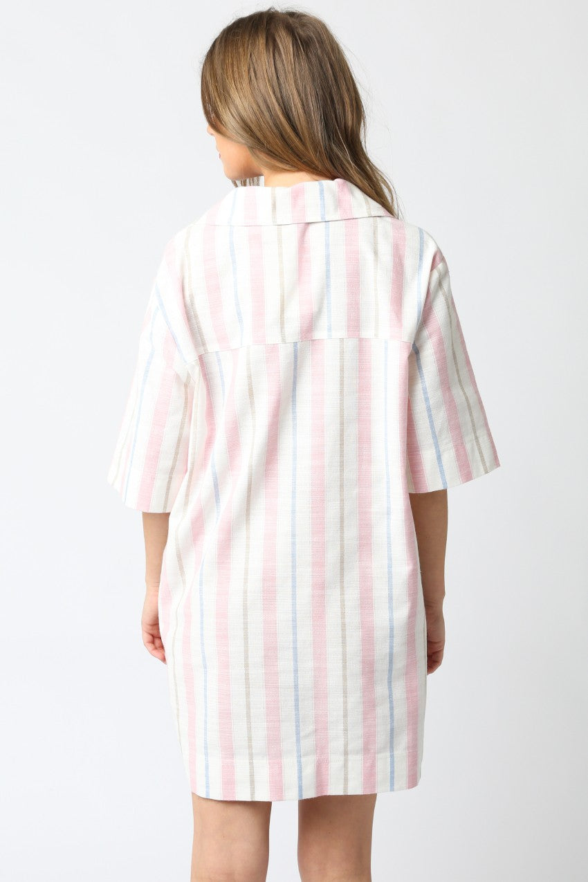 Jules Stripe Dress- Pink/Blue