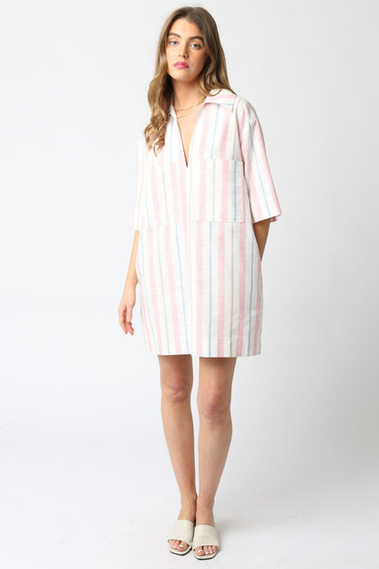 Jules Stripe Dress- Pink/Blue