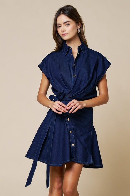 Eloise Denim Dress