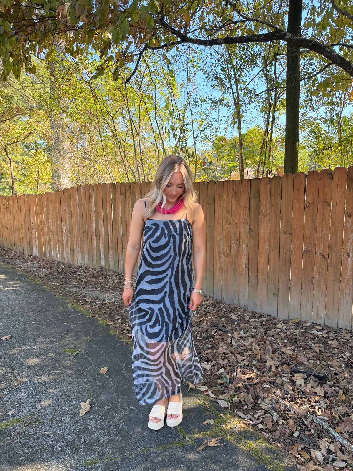 Francis Zebra Maxi Dress- Black