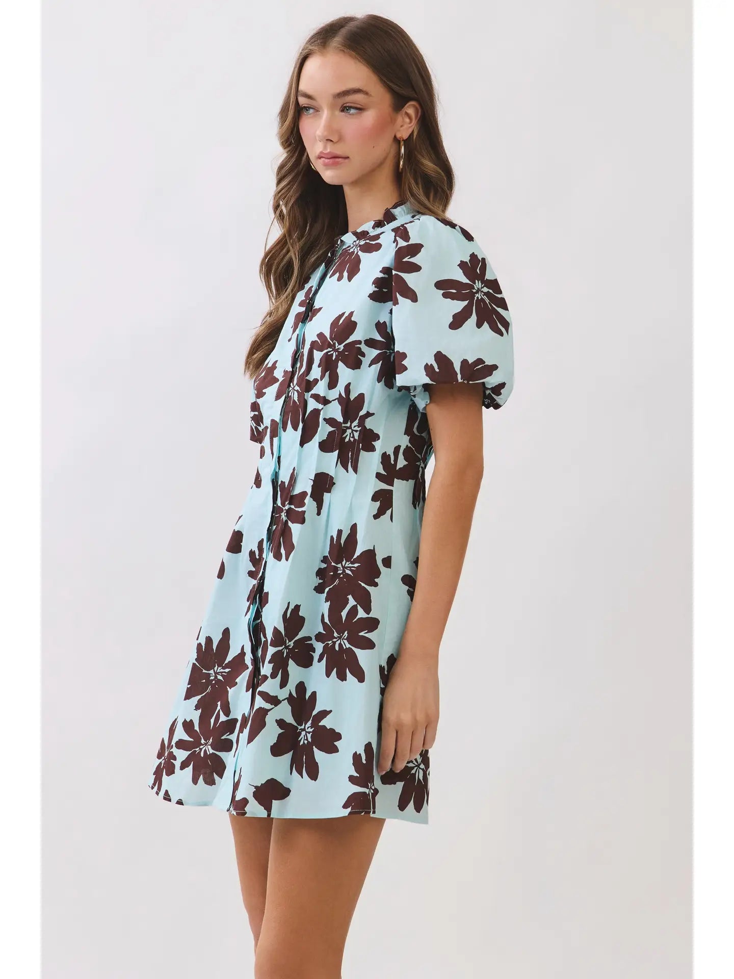 Avena Floral Mini Dress- Blue/Brown