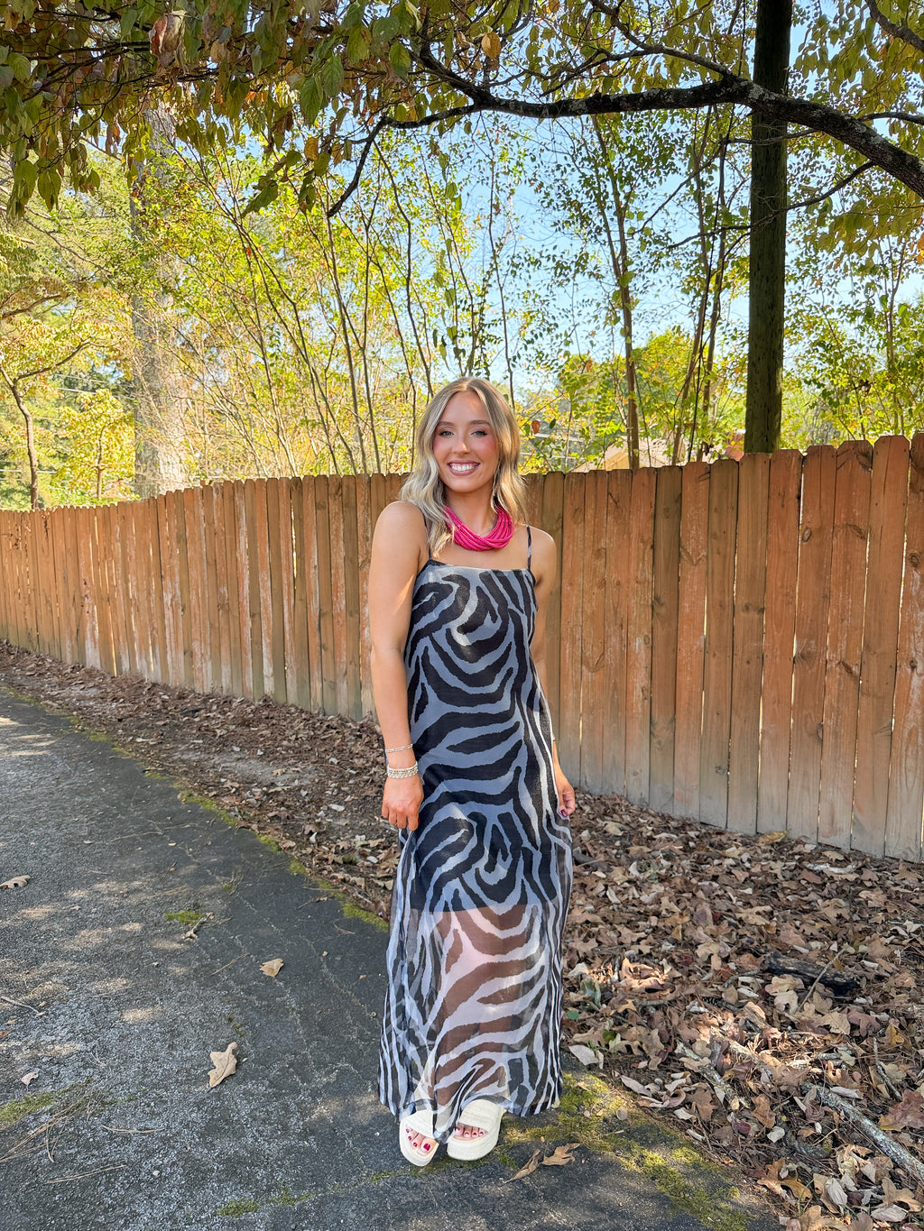 Francis Zebra Maxi Dress- Black