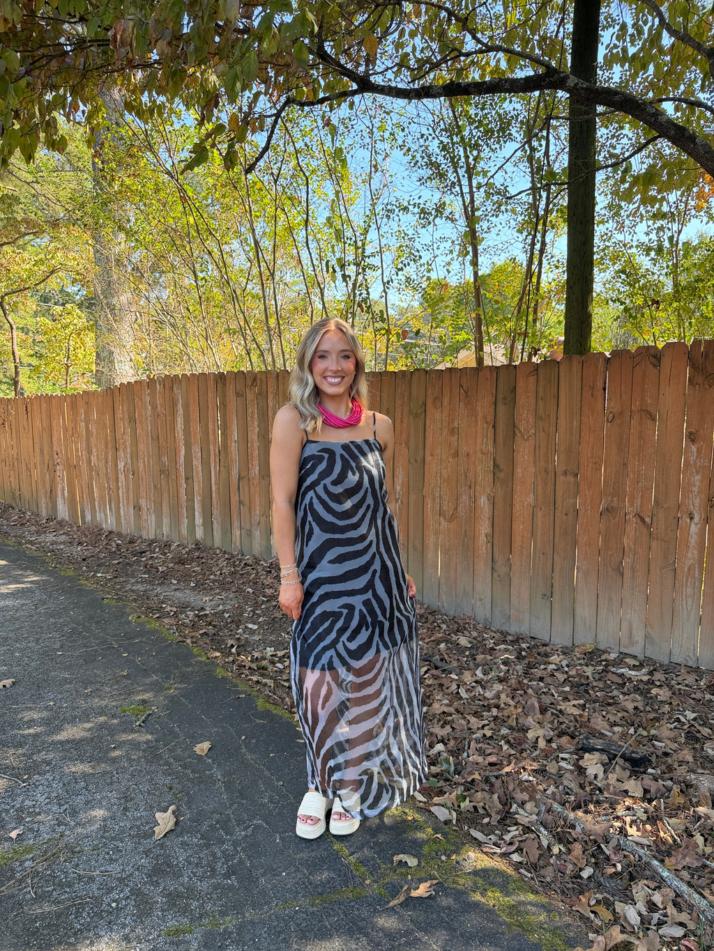 Francis Zebra Maxi Dress- Black