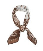 Paisley Print Scarf- Brown