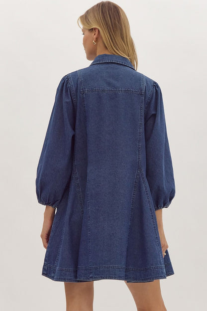 Libby Denim Dress